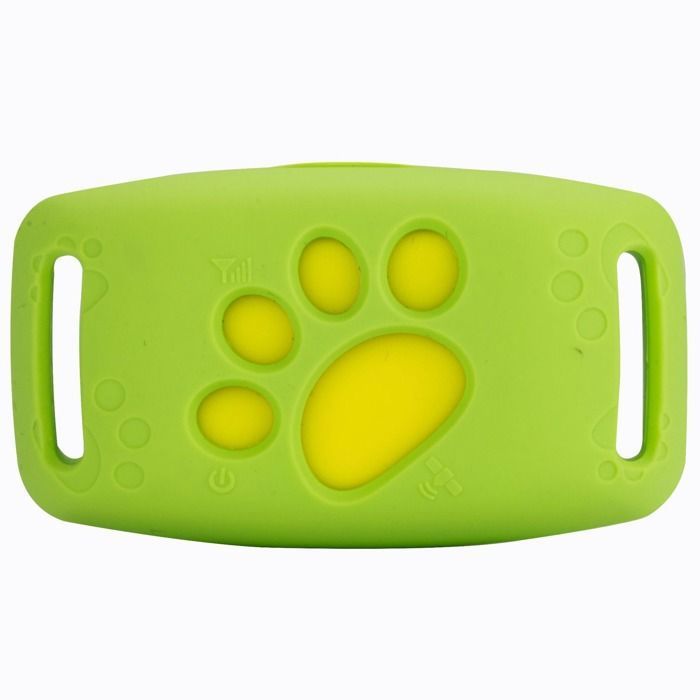 Traceur GPS pour animaux de compagnie collier localisation chien chat anti-perte suivi temps réel haute précision vert