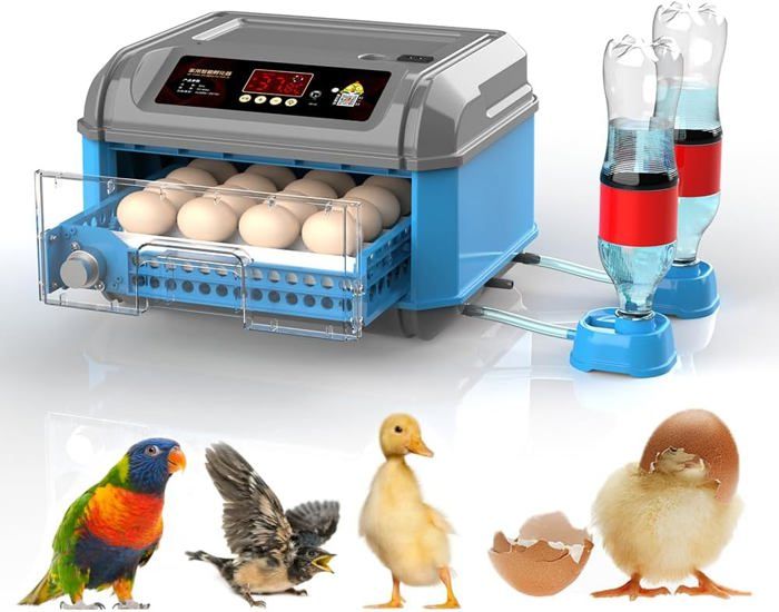 Couveuse Oeuf Automatique 36 œufs Pour couver des œufs de volaille avec rotation automatique des œufs et contrôle de lhumidité