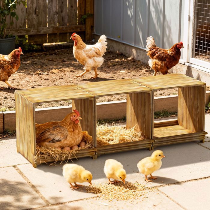Pondoir pour poules 3 emplacements nichoir en Bois - BingoPaw - Nichoir à poules - 105x30x36cm