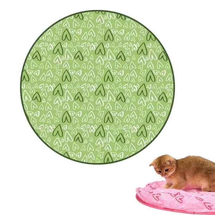 Jouet Pour Couverture De Balle- PIMPIMSKY- 70CM Tapis De Jeu Pour Chat- Jouets dintérieur pour animaux de compagnie