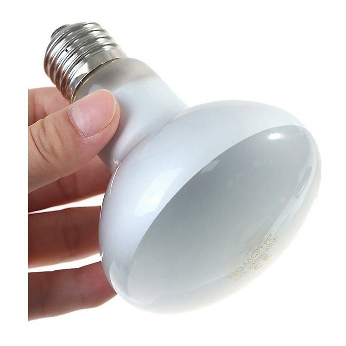Lampe UV pour Reptiles - LARGEIGHT - 60W - Ampoule Chauffante - Contrôleur de Température - Verre