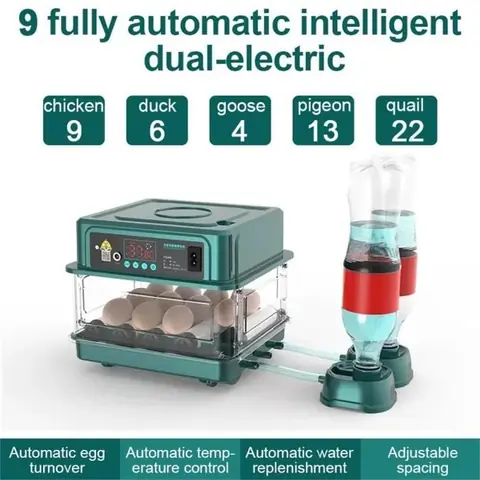 Couveuse Automatique  Couveuse Oeuf avec hydratation de lit deau à ion deau automatique et contrôle de la température 10 oeufs