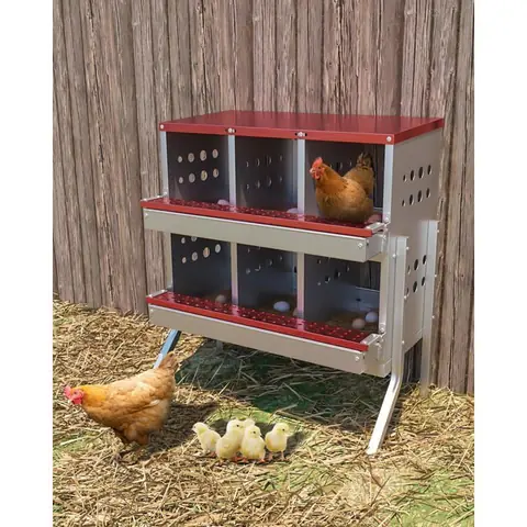Boîte à œufs galvanisée sur pied 6 cases avec perchoir antirouille et œufs factices. Parfait pour poulailler extérieur-Rouge