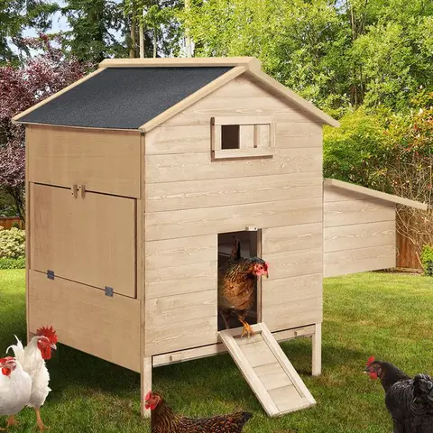 IDMARKET Poulailler chalet XL pour poules avec pondoir en bois