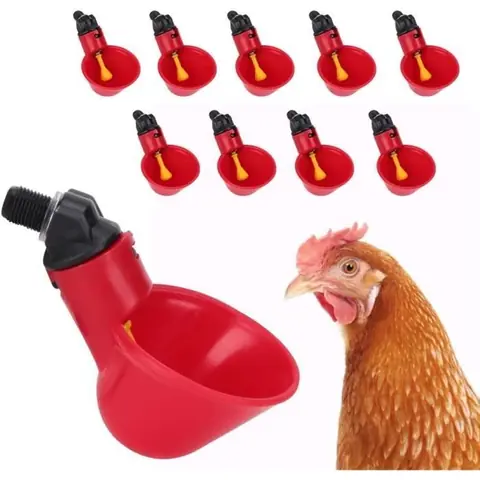Abreuvoir - 10 pcs - Automatique - Pour Poules et Poussins - Installation Facile