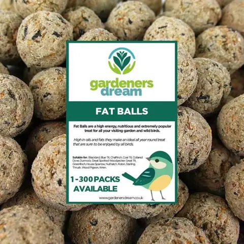 Boules de graisse  Friandises énergétiques pour oiseaux sauvages