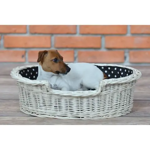 Corbeille ovale en osier blanc pour chien et chat - bord tressé large ouverture
