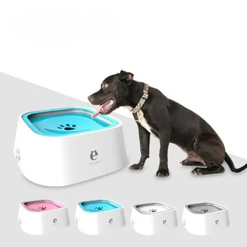 Distributeur dEau Potable pour Chats et Chiens