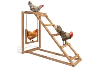 Aire de jeux en bois pour poules avec balançoire et perchoir