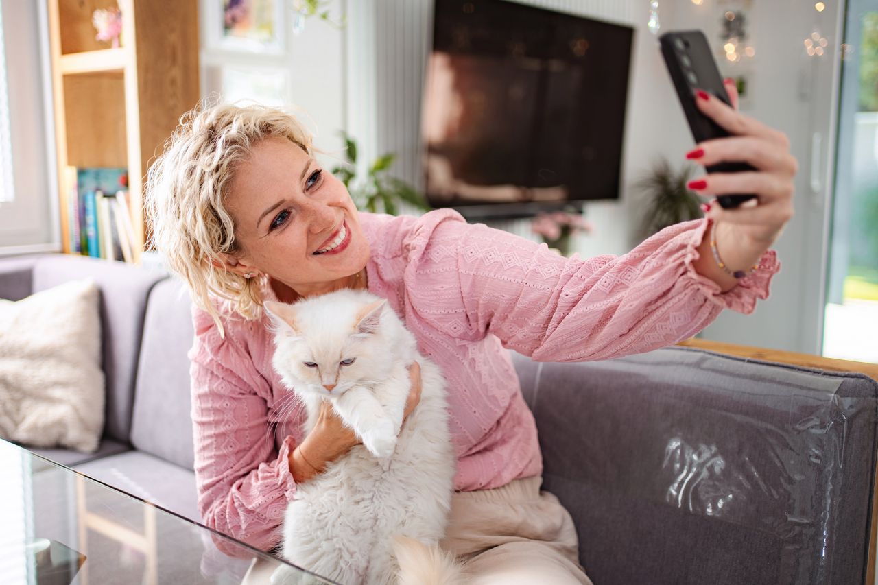 Chat qui refuse sa litière : les 6 causes à vérifier dans l’ordre