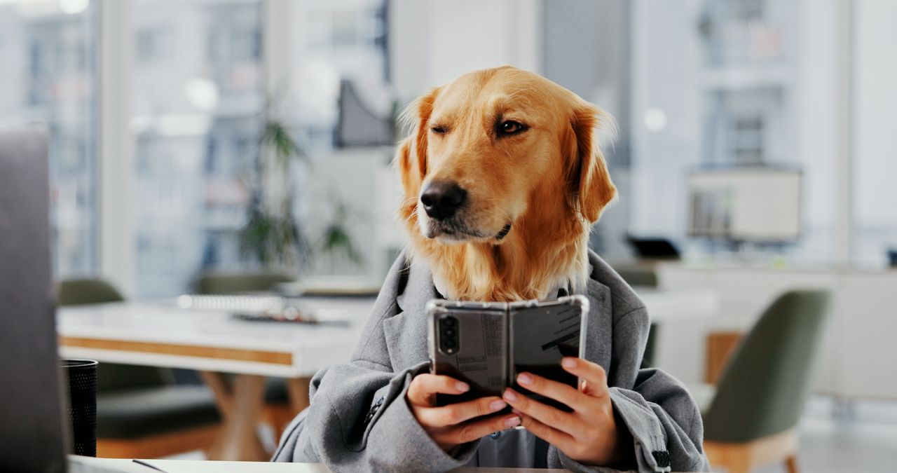 Assurance animale : ce que le taux de remboursement ne vous dit pas