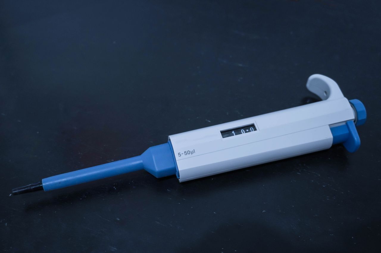 Comparatif visuel d’une pipette, d’un collier et d’un comprimé antiparasitaire sur fond neutre.