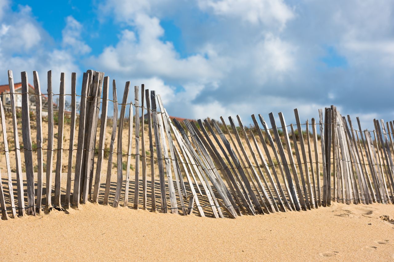 Grande cage à oiseaux spacieuse avec perchoirs en bois naturel et barreaux adaptés.