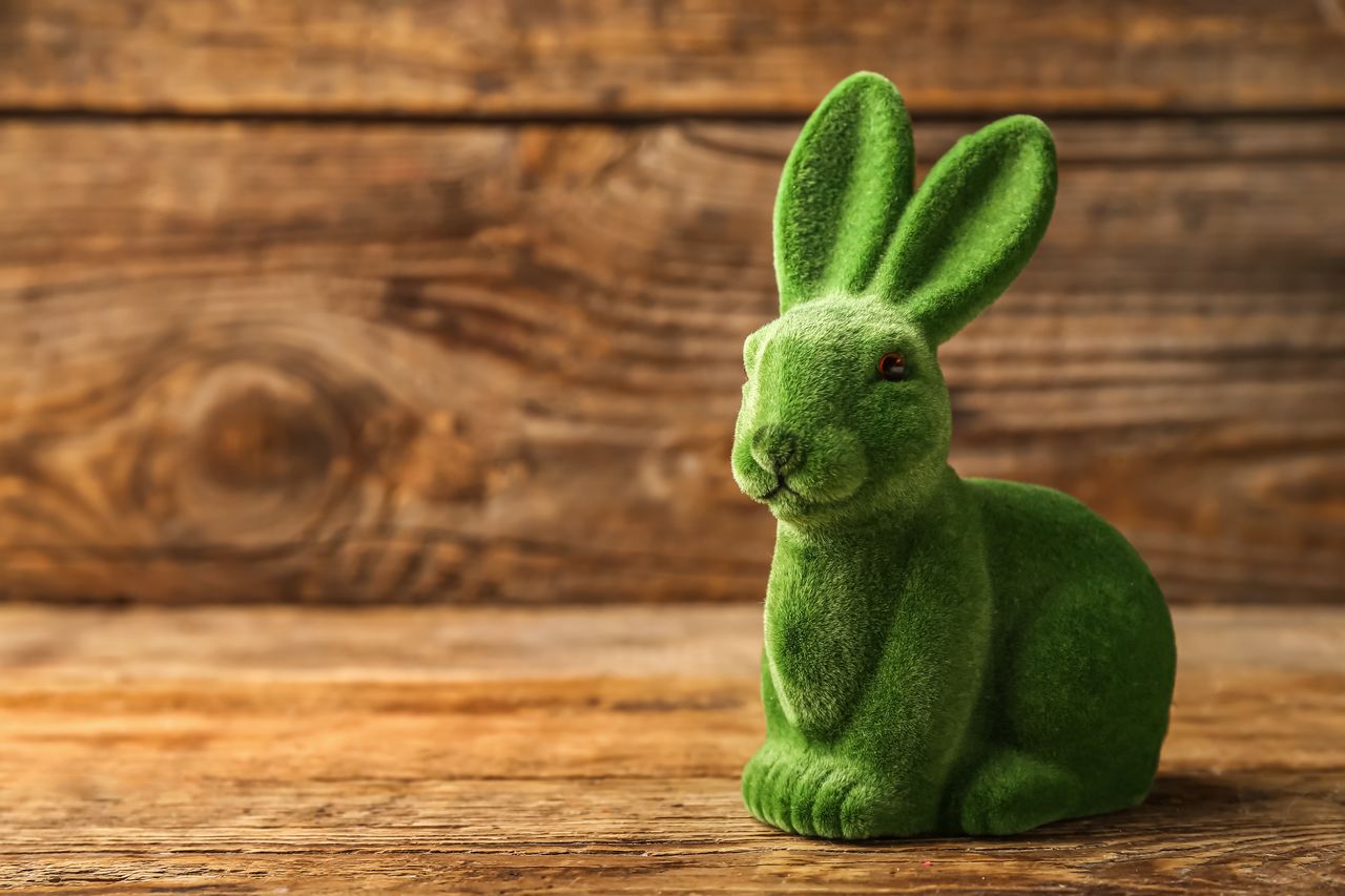 Le foin du lapin : quantité, qualité et erreurs à éviter