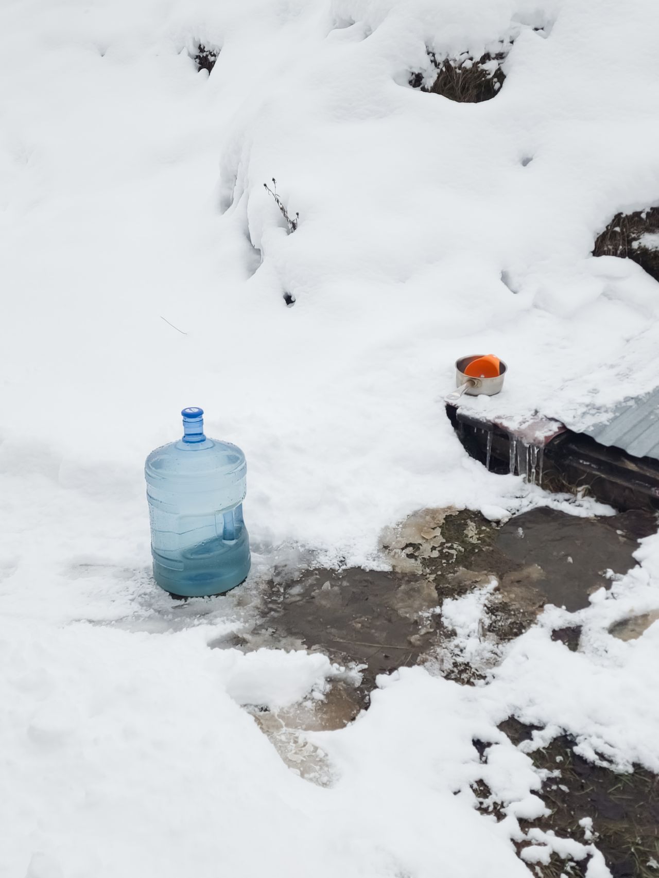 Passer l’hiver au poulailler : l’essentiel, sans les gadgets